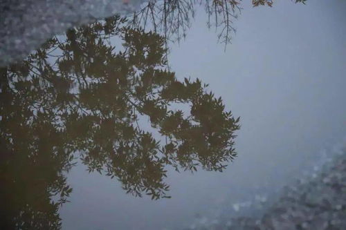 沥沥的意思，淅淅沥沥的意思和造句