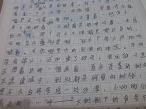 虫子作文400字