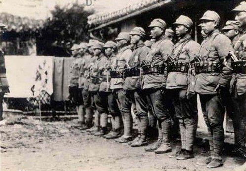 19路军军长蔡廷，19路军来龙去脉