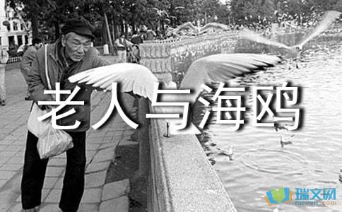 老人与海鸥教学设计及反思，老人与海鸥优秀教案