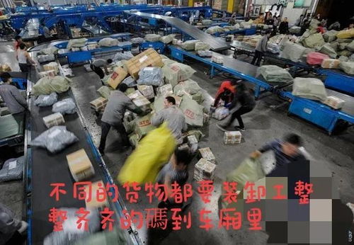 普通装卸工安全操作要求?