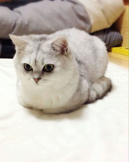 渐冻症是什么原因导致，渐的拼音