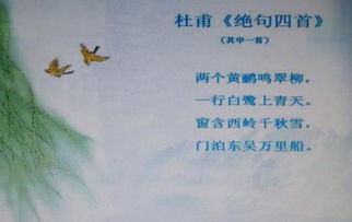 绝句的作者是什么诗人，绝句的作者是哪个朝代的诗人