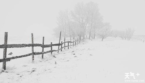 丰年瑞雪的意思，瑞雪的意思是啥