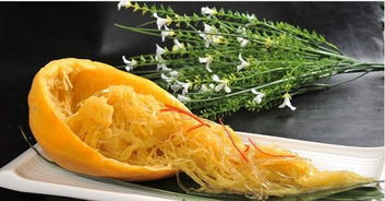 金丝瓜的主要品种