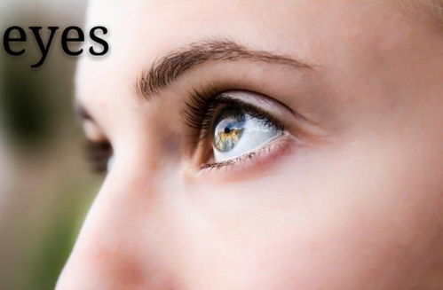 eyes是什么意思怎么读音，hands是什么意思