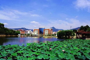 太湖水位创20年同期最低,造成这一现象的原因是什么?会有何影响?_百度