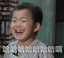 仇仇相报何时了下一句，仇仇你了