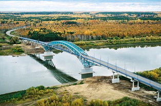 鄂木斯克鸟，鄂木斯克是哪个国家的