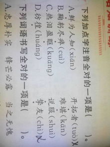 现在说服读shuo还是shui，说服读shuo还是shui说服力