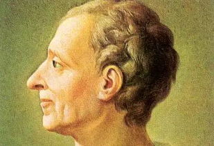 什么是贝特兰模型?