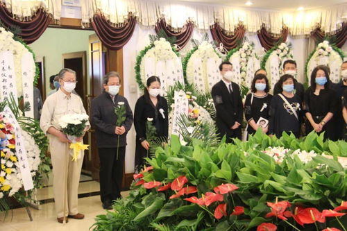 唁电范文，唁电 彩打