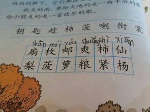 金秋的拼音怎么读，金秋的拼音怎么拼写读音