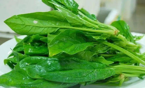 择的拼音，择菜的拼音怎么写