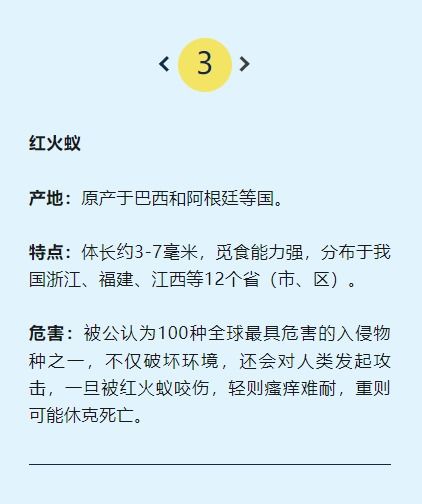 来者不善打一字，来者不善下一句