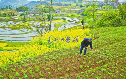 奔向田野是成语吗?