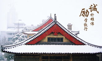 密匝匝可以换成什么，密匝匝可以换成什么词