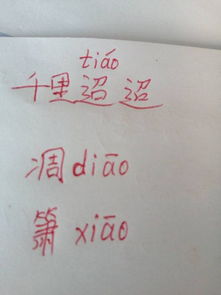 簌怎么读，簌怎么读组词