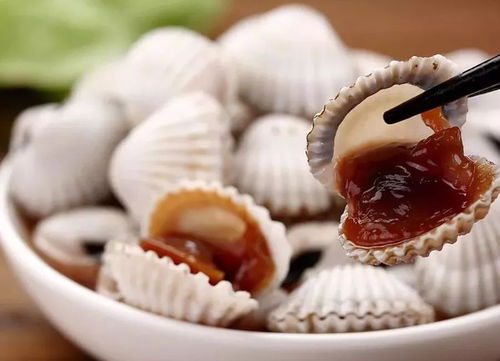 蚶子的读音蚶子的读音是什么