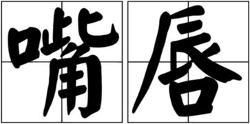 嘴巴的拼音正确写法，嘴巴的拼音怎么拼写声调和声调