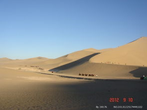 河北沧州自驾游攻略,玩遍丝绸之路起点城市