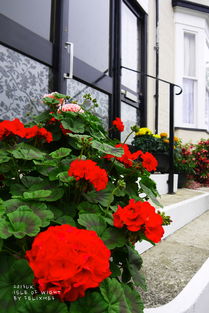 wt%浓度是什么意思