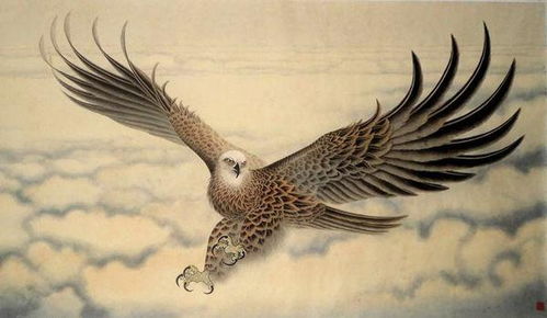 老鹰来自哪个国家,英语，老鹰来自哪儿