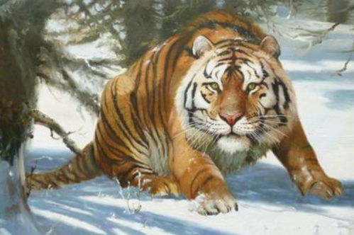 属虎是哪一年出生的那一年的，74年属虎的人是什么命