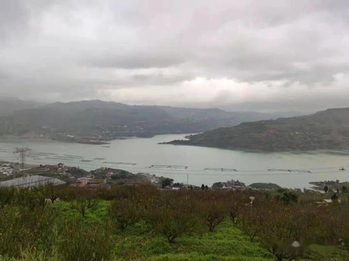 查天气的电话号码