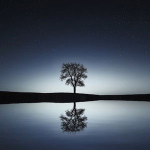 reverent和reverential的区别，reverent名词