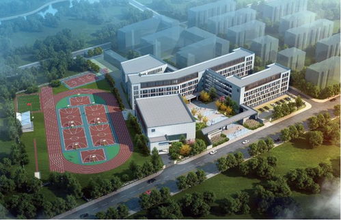 灵溪一中教育集团新区实验学校是江滨实验小学分校吗