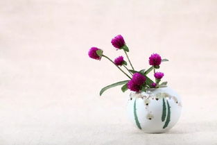 怅然若失的意思是什么 怅然若失造句 近义词反义词