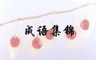 形容人长的漂亮帅气的四字成语