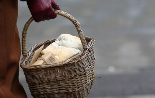 东北话篮子是什么意思?