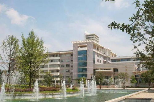 中南大学林业科技大学是几本