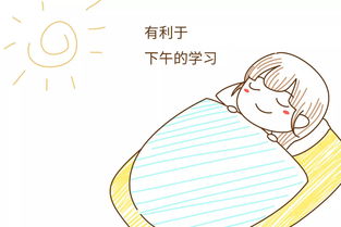 午休的拼音是什么写，午觉拼音怎么拼写