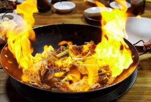 鱼是寒性的为什么会生火