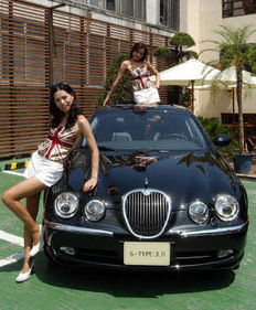 美洲虎汽车标志，美洲虎汽车公司的车标是一只