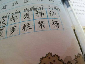 jin qiu 两个拼音都是第一声,写词语怎么写,小学一年级的题目