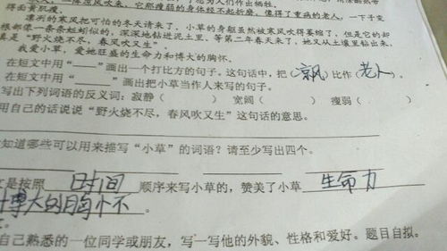 消瘦的反义词消瘦的反义词是什么