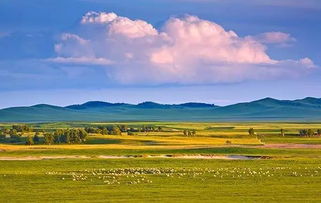 唱起草原的歌额尔古纳乐队，唱起草原的歌伴奏