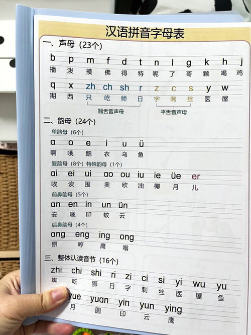 “周”这个字的拼音怎么写?