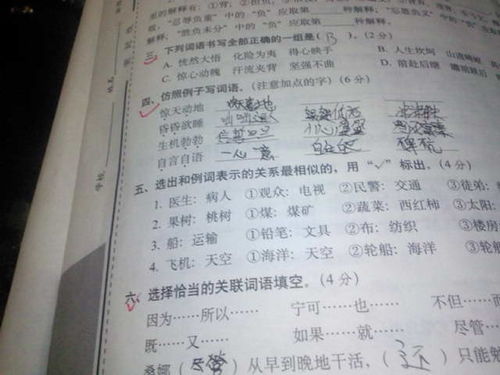 动可以组什么词?