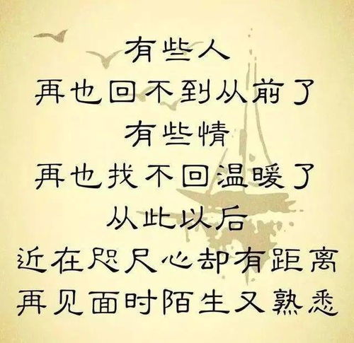 再也回不到从前的文案，再也回不到从前了