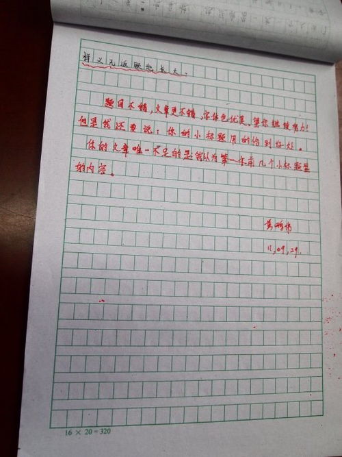 爱使我成长初三作文600字