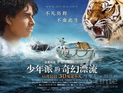 少年派的奇幻漂流票房全球，少年派的奇幻漂流票房 商业化和