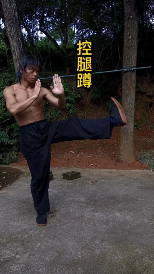 蹲蹲孵小鸡游戏教案，蹲蹲乐游戏规则