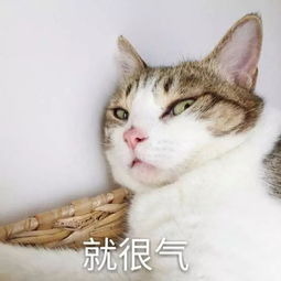 马大叔与小九九什么意思，大家所谓的小九九啥意思