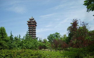 塔子山公园那排石墙叫什么