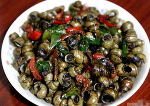 田螺肉的功效与禁忌，田螺的功效与营养价值